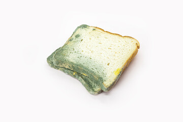 A piece of fungus bread Isolated on white background. Top view, Selective focus.