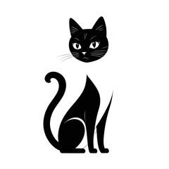 black and white cat