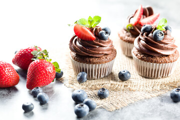 Chocolate cupcakes. Freshly baked homemade cupcakes with fresh blueberries, strawberries and mint leaves on light background. Homemade baking concept. Soft focus