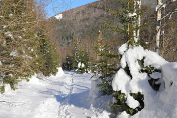 Winter alpine landscape in National Park Retezat, Carpathians, Romania, Europe. Snow covered moutains scenery	