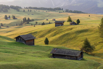Italy, South Tyrol, Seiser Alm, barns in the morning