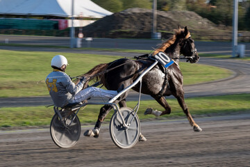 Racing horses trots and rider on a track of stadium. Competitions for trotting horse racing. Horses compete in harness racing. Horse runing at the track with rider.
