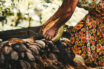 Making of traditional Sri Lankan handmade coconut sambal. Old lady is opening the coconut.