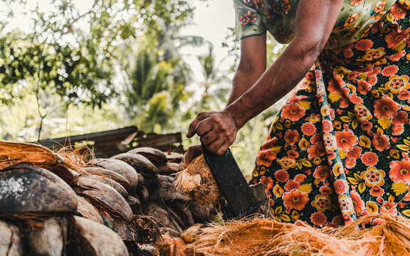 Making of traditional Sri Lankan handmade coconut sambal. Old lady is opening the coconut.