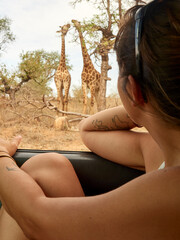 Woman watching pair of giraffes through car window, Kruger National Park, Mpumalanga, South Africa