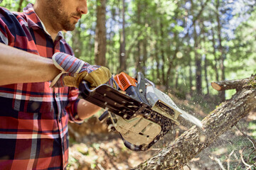 Lumberjack cutting branch with chainsaw in forest