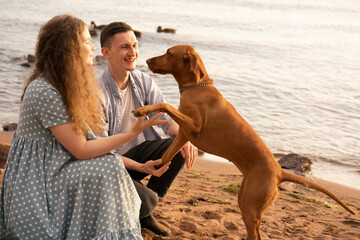 Couple with dog at the beach, dog giving paw