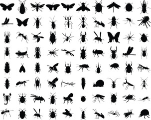 Big set of insects silhouettes. Vector illustrations isolated on white background - obrazy, fototapety, plakaty