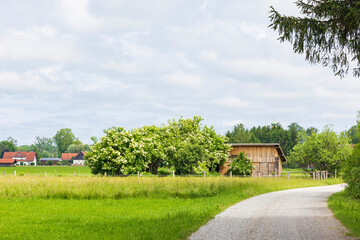 country house in the countryside