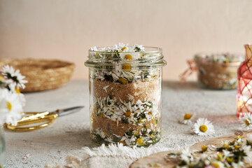 Chopped common daisy flowers and cane sugar in a jar - preparation of herbal syrup