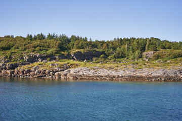 Beautiful and wild scandinavian coast in Norway with polar or tundra type countyside, rocks, dwarfed trees, blueberry bushes and heather. Picture is taken from the water during sunny summer afternoon.