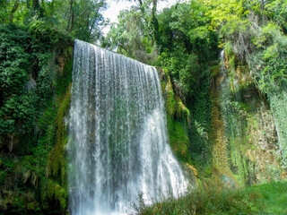 waterfall in the forest