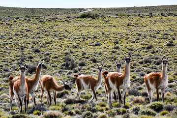 parque patagonia argentina