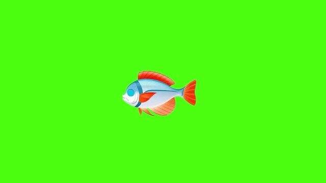 Animated fish swims on a green screen, looped video