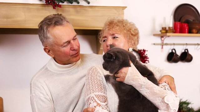 senior couple stroking and play with domestic cat in living room. Happy family, Attractive elderly mature man and woman grandparents in kitchen spend free leisure time.