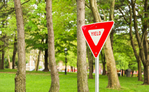yield sign on road, symbolizing caution and giving way to oncoming traffic, against a clear blue sky