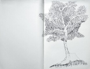 Black ink drawing of a tree with many leaves