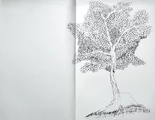 Papier Peint photo Surréalisme Black ink drawing of a tree with many leaves