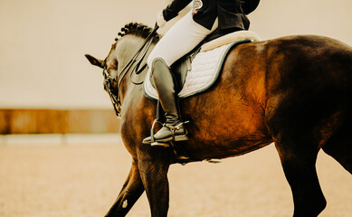 The rider rides a bay horse at a gallop. Horseback riding. Dressage competitions. The beauty of...