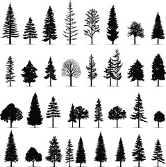 silhouette tree pine forest fir vector set nature black illustration isolated plant - obrazy, fototapety, plakaty