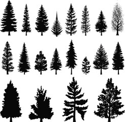 silhouette tree pine forest fir vector set nature black spruce illustration isolated plant