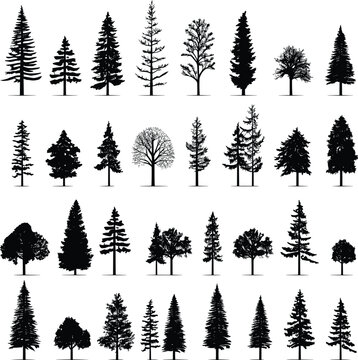 silhouette tree pine forest fir vector set nature black illustration isolated plant