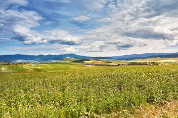 Slovakia summer landscape. Green summer fields, meadows, hills of Tatra mountains. Travel in vacations. Rural Road in Spis region, Slovakia. Spissky hrad national park - 686871456