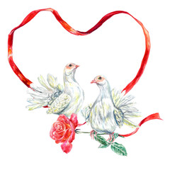 White doves with a red ribbon. Watercolor illustration on a white background. Valentines Day greeting cards, wedding invitations, template for text.