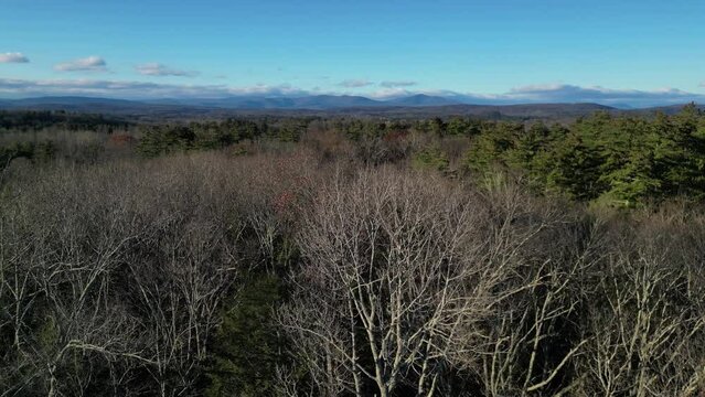 bare trees with distant hills (aerial drone shot from above) flying sideways, parallax, turning towards and away (catskill mountains in the background) hudson valley