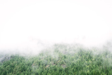 Misty mountain views from hiking trail along Snoqualmie Pass in Washington