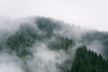 Misty mountain views from hiking trail along Snoqualmie Pass in Washington - obrazy, fototapety, plakaty