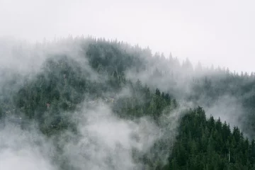Fototapeten Misty mountain views from hiking trail along Snoqualmie Pass in Washington © Alisha