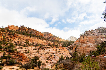 Zion National Park in the mist and snow