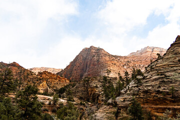Zion National Park in the mist and snow
