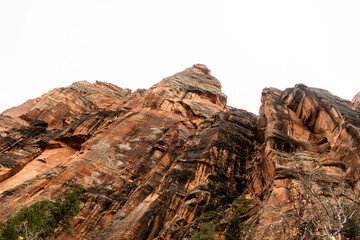 Zion National Park in the mist and snow