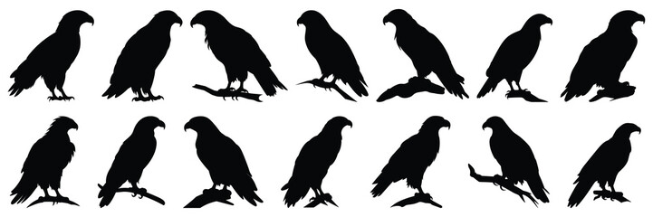 Fototapeta premium Eagle silhouettes set, large pack of vector silhouette design, isolated white background