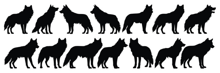 Wolf silhouettes set, large pack of vector silhouette design, isolated white background