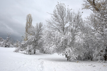 Fototapeta premium Winter Landscape of South Park in city of Sofia, Bulgaria