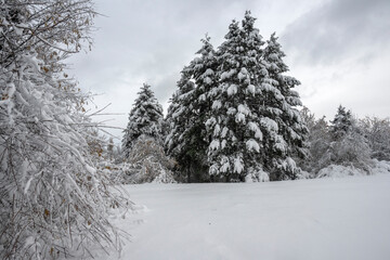 Winter Landscape of South Park in city of Sofia, Bulgaria