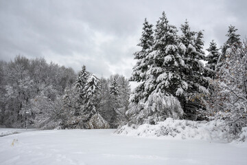 Winter Landscape of South Park in city of Sofia, Bulgaria