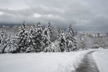 Winter Landscape of South Park in city of Sofia, Bulgaria