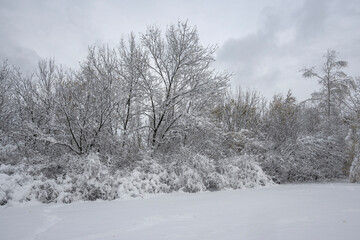Winter Landscape of South Park in city of Sofia, Bulgaria