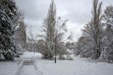 Winter Landscape of South Park in city of Sofia, Bulgaria