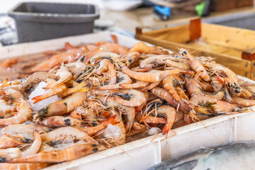 Fresh shrimp in a fish market at the Houmt Souk.