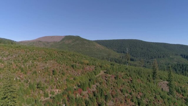 Pacific Forest Logging Sites Regrowth of Trees Oregon Coast Range Aerial Video