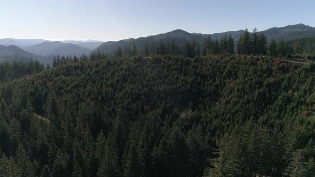 Pacific Forest Logging Sites Regrowth of Trees Mountain Range Aerial Video 7