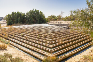 Hot spring at the Chott el Djerid dry salt lake.