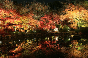 東寺の池に反射する紅葉