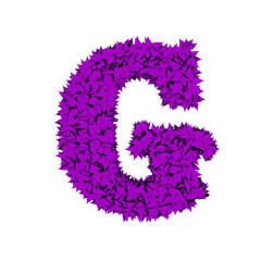 Fototapeta premium Symbol from purple leaves. letter g