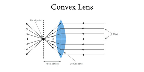 Convex lens diagram. Incident and refracted ray. Beam of light through converging lenses. Scientific resources for teachers and students.